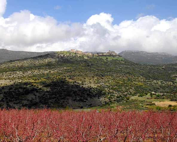 Golan Heights