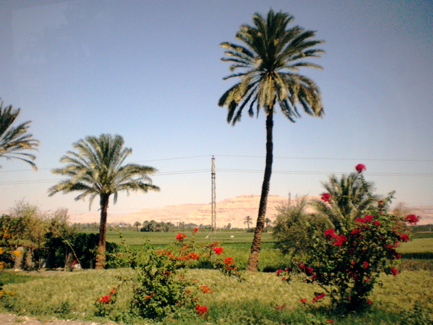 West bank at Luxor