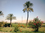 West bank at Luxor