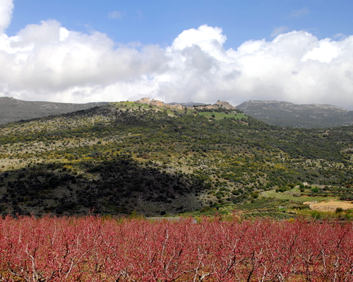 146-Nimrod's Castle, Golan Heights