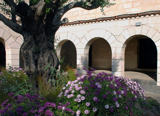 45-Courtyard at the Church of the Multiplication of the Loaves and the Fishes