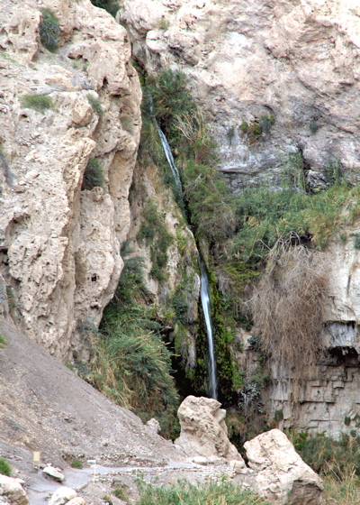 235-Ein Gedi