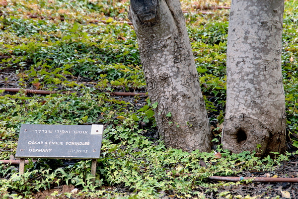 562-Oscar SchnidlerTree, Yad Vashem