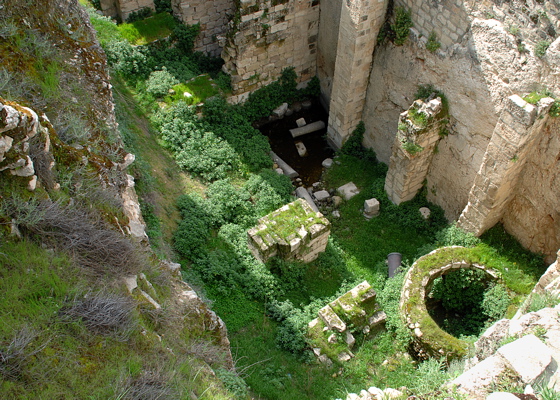 338-The Pool of Bethesda, Jerusalem