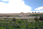 374-The Kidron  Valley